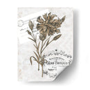 Petite Beaute Iv - Melissa Wang | Cuadro decorativo de Canvas Lab