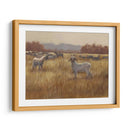 Cabras De Pastoreo I - Ethan Harper | Cuadro decorativo de Canvas Lab