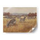 Cabras De Pastoreo Ii - Ethan Harper | Cuadro decorativo de Canvas Lab