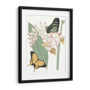 Les Papillons I - Vision Studio | Cuadro decorativo de Canvas Lab