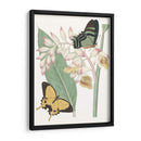 Les Papillons I - Vision Studio | Cuadro decorativo de Canvas Lab