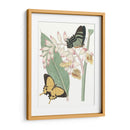 Les Papillons I - Vision Studio | Cuadro decorativo de Canvas Lab