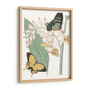Les Papillons I - Vision Studio | Cuadro decorativo de Canvas Lab