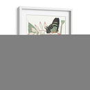 Les Papillons I - Vision Studio | Cuadro decorativo de Canvas Lab