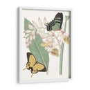 Les Papillons I - Vision Studio | Cuadro decorativo de Canvas Lab