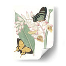 Les Papillons I - Vision Studio | Cuadro decorativo de Canvas Lab