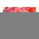 Vista De Blossom Ii - Samuel Dixon | Cuadro decorativo de Canvas Lab