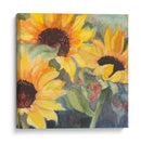 Girasoles En Acuarela Ii - Sandra Iafrate | Cuadro decorativo de Canvas Lab