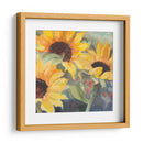 Girasoles En Acuarela Ii - Sandra Iafrate | Cuadro decorativo de Canvas Lab