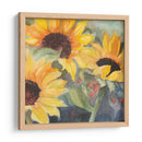 Girasoles En Acuarela Ii - Sandra Iafrate | Cuadro decorativo de Canvas Lab
