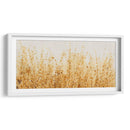 Campos Ocre Ii - Tim OToole | Cuadro decorativo de Canvas Lab