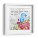 Bloom Y Fly Ii - Catherine McGuire | Cuadro decorativo de Canvas Lab