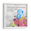 Bloom Y Fly Ii - Catherine McGuire | Cuadro decorativo de Canvas Lab