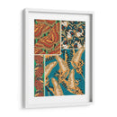 Mariposas Decorativas Iv - Eugene Seguy | Cuadro decorativo de Canvas Lab