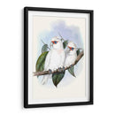 Parrots Pastel Iv - John Gould | Cuadro decorativo de Canvas Lab
