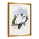 Parrots Pastel Iv - John Gould | Cuadro decorativo de Canvas Lab