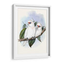 Parrots Pastel Iv - John Gould | Cuadro decorativo de Canvas Lab