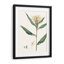 Suave Tropical Viii - George Smith | Cuadro decorativo de Canvas Lab