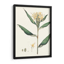 Suave Tropical Viii - George Smith | Cuadro decorativo de Canvas Lab