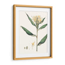 Suave Tropical Viii - George Smith | Cuadro decorativo de Canvas Lab