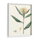 Suave Tropical Viii - George Smith | Cuadro decorativo de Canvas Lab