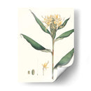 Suave Tropical Viii - George Smith | Cuadro decorativo de Canvas Lab