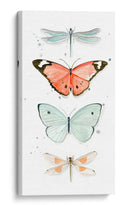 Mariposas De Verano I - Jennifer Paxton Parker | Cuadro decorativo de Canvas Lab