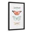 Mariposas De Verano I - Jennifer Paxton Parker | Cuadro decorativo de Canvas Lab