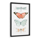 Mariposas De Verano I - Jennifer Paxton Parker | Cuadro decorativo de Canvas Lab