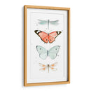 Mariposas De Verano I - Jennifer Paxton Parker | Cuadro decorativo de Canvas Lab