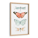 Mariposas De Verano I - Jennifer Paxton Parker | Cuadro decorativo de Canvas Lab