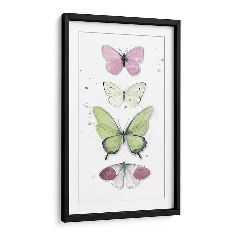 Mariposas De Verano Ii - Jennifer Paxton Parker | Cuadro decorativo de Canvas Lab