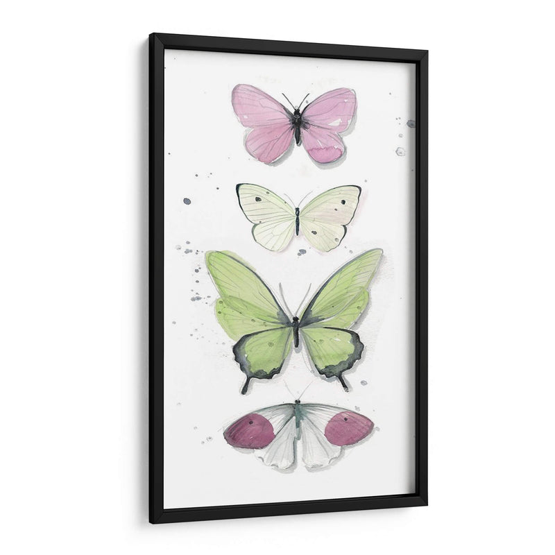 Mariposas De Verano Ii - Jennifer Paxton Parker | Cuadro decorativo de Canvas Lab