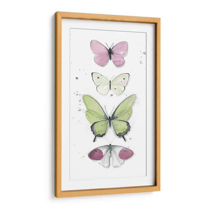 Mariposas De Verano Ii - Jennifer Paxton Parker | Cuadro decorativo de Canvas Lab