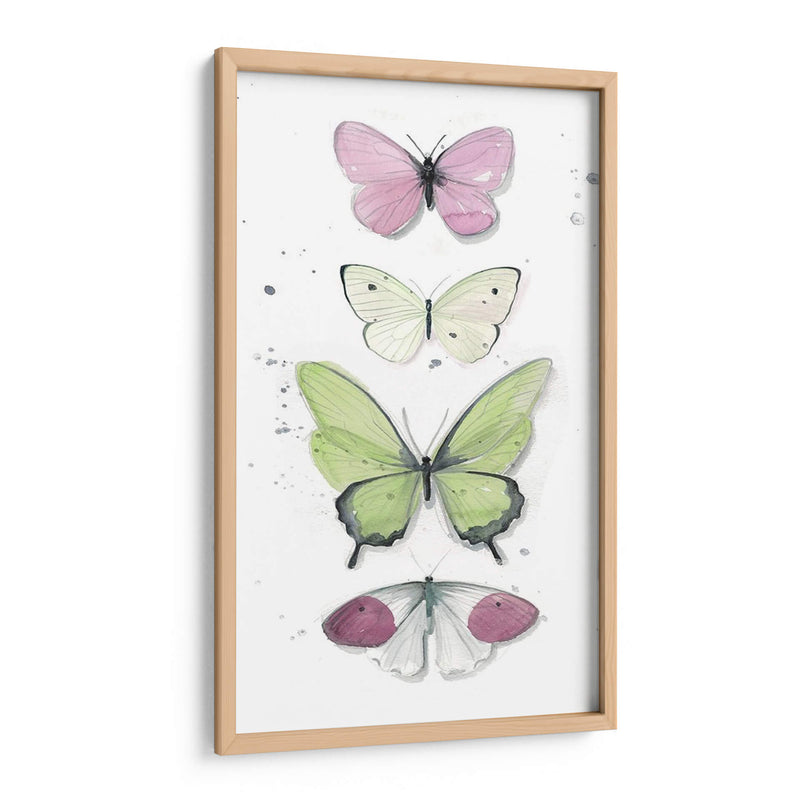 Mariposas De Verano Ii - Jennifer Paxton Parker | Cuadro decorativo de Canvas Lab