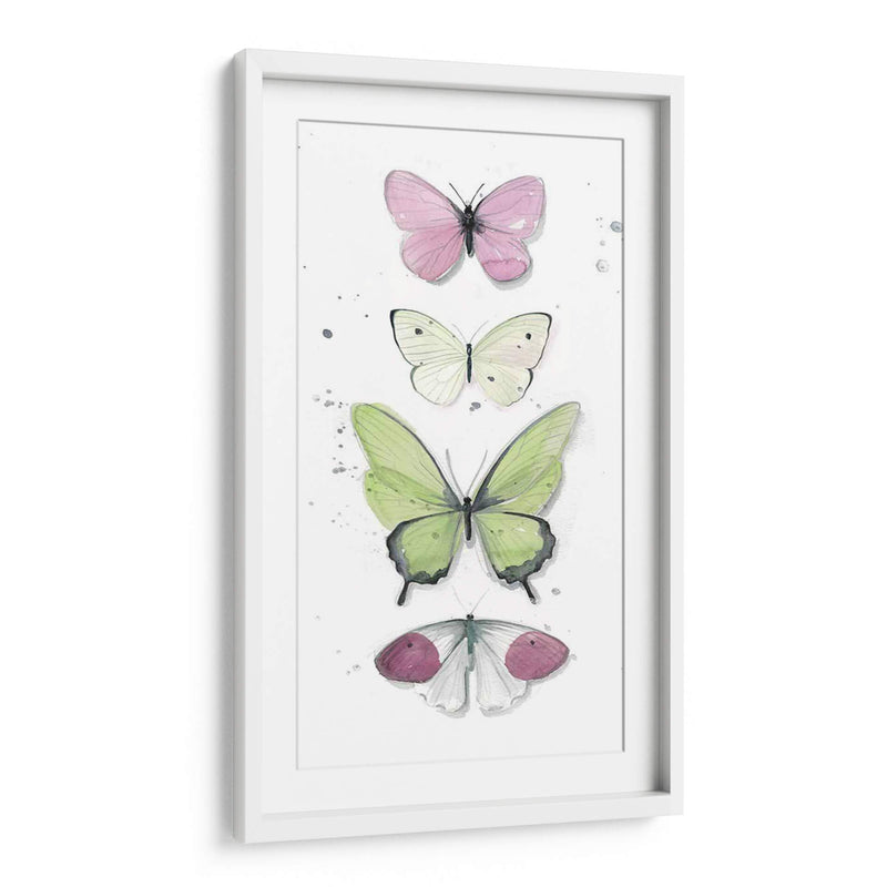 Mariposas De Verano Ii - Jennifer Paxton Parker | Cuadro decorativo de Canvas Lab