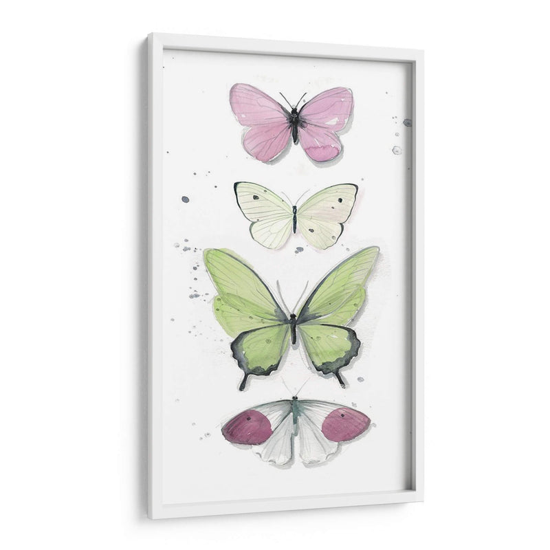 Mariposas De Verano Ii - Jennifer Paxton Parker | Cuadro decorativo de Canvas Lab