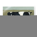 Retrato Bovino I - Emma Scarvey | Cuadro decorativo de Canvas Lab