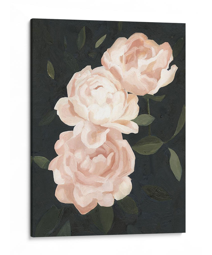 Flora Nocturna Iii - Emma Scarvey | Cuadro decorativo de Canvas Lab