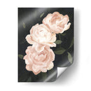 Flora Nocturna Iii - Emma Scarvey | Cuadro decorativo de Canvas Lab