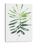 Emerald Tropics I - June Erica Vess | Cuadro decorativo de Canvas Lab