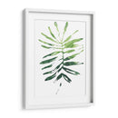 Emerald Tropics I - June Erica Vess | Cuadro decorativo de Canvas Lab