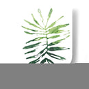 Emerald Tropics I - June Erica Vess | Cuadro decorativo de Canvas Lab