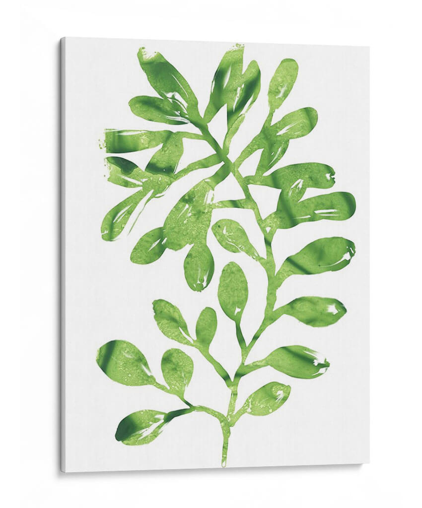 Emerald Tropics Ii - June Erica Vess | Cuadro decorativo de Canvas Lab