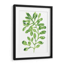 Emerald Tropics Ii - June Erica Vess | Cuadro decorativo de Canvas Lab
