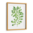 Emerald Tropics Ii - June Erica Vess | Cuadro decorativo de Canvas Lab