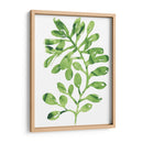 Emerald Tropics Ii - June Erica Vess | Cuadro decorativo de Canvas Lab