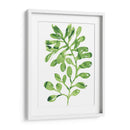 Emerald Tropics Ii - June Erica Vess | Cuadro decorativo de Canvas Lab