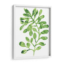 Emerald Tropics Ii - June Erica Vess | Cuadro decorativo de Canvas Lab