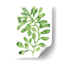 Emerald Tropics Ii - June Erica Vess | Cuadro decorativo de Canvas Lab